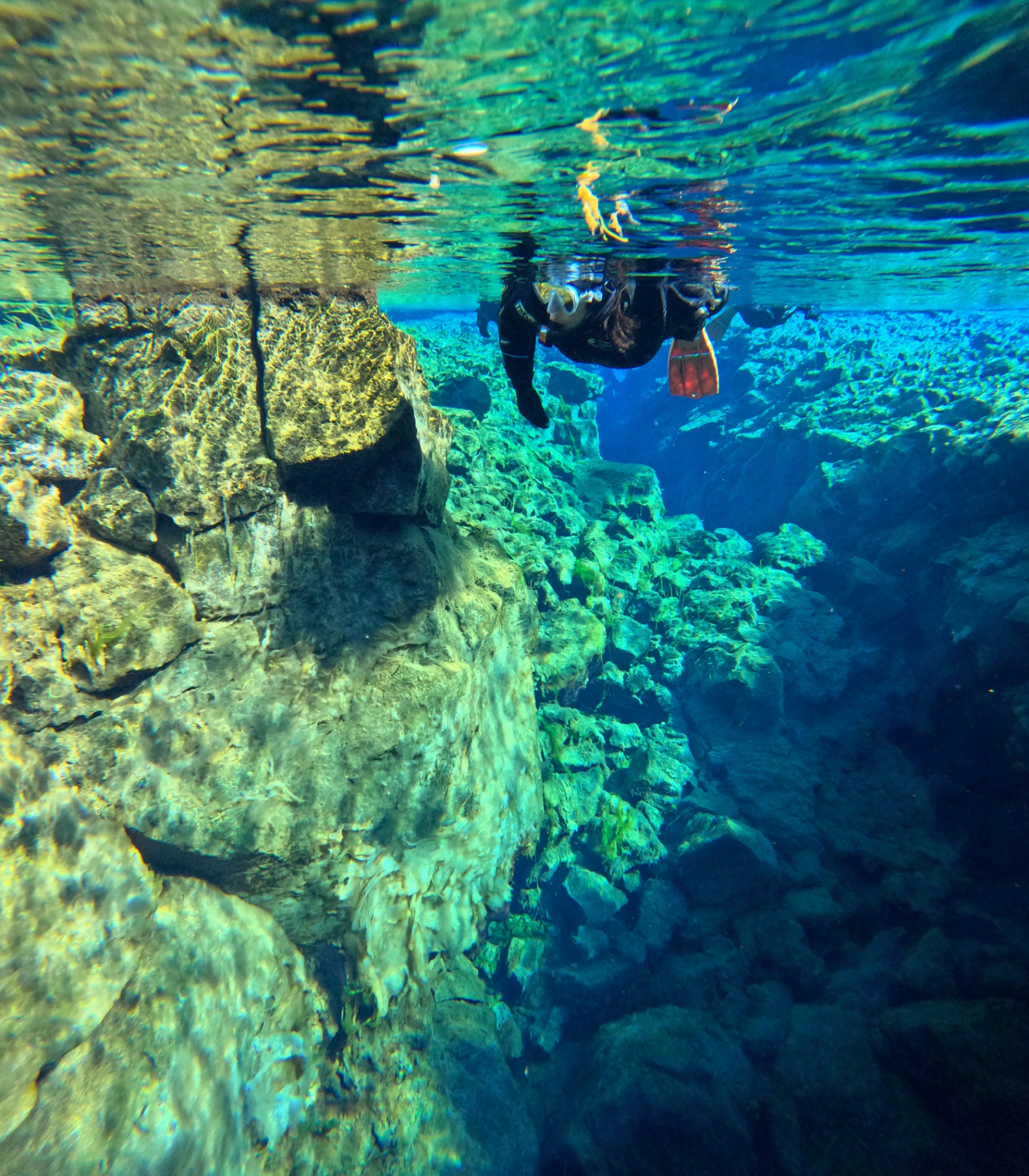 Snorkeler floating over the clear blue Silfra fissure